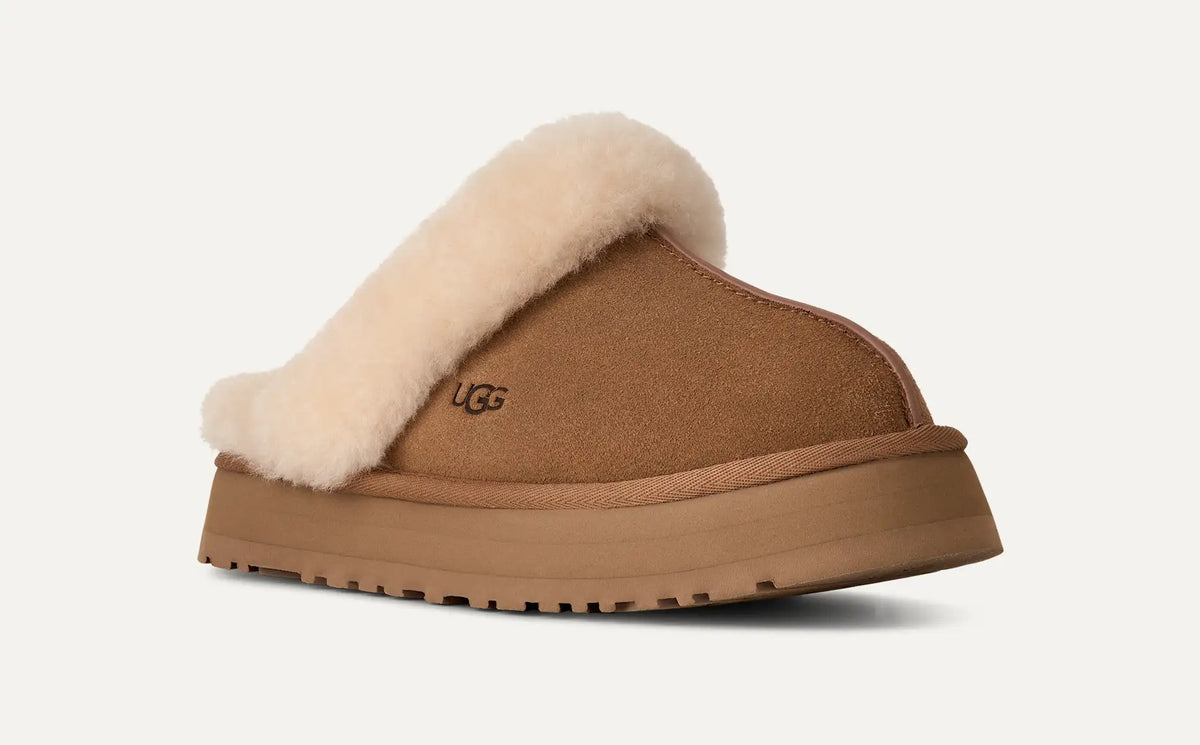 Disquette Chestnut