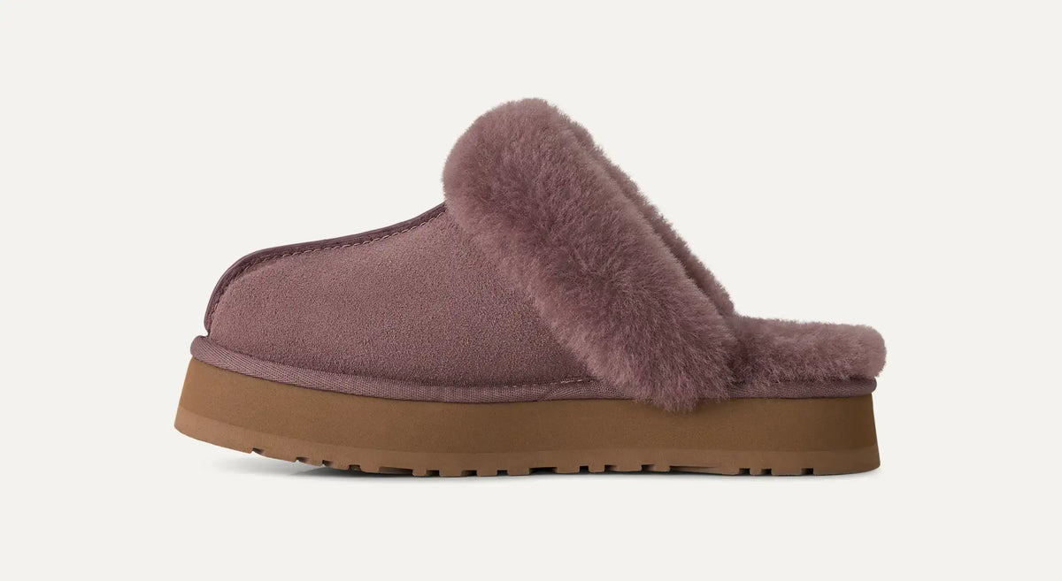 Disquette Mauve