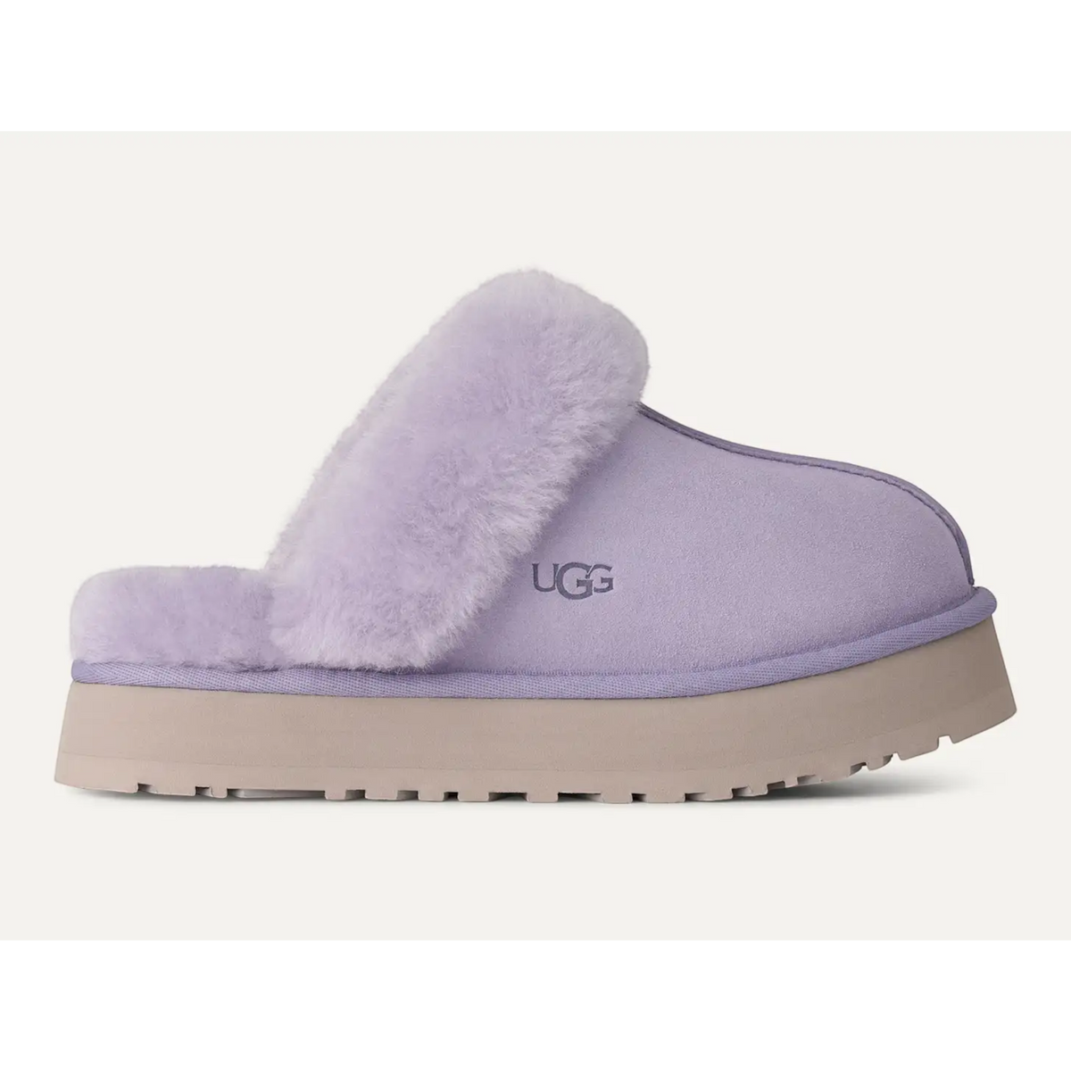 Disquette Lilac