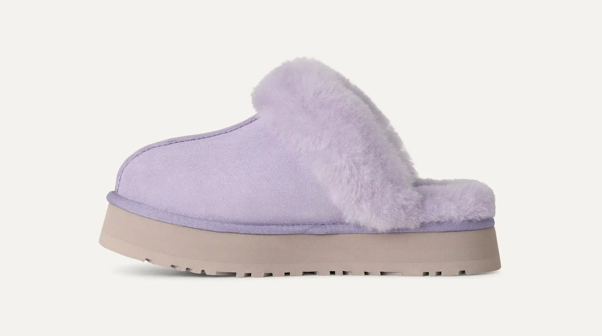 Disquette Lilac