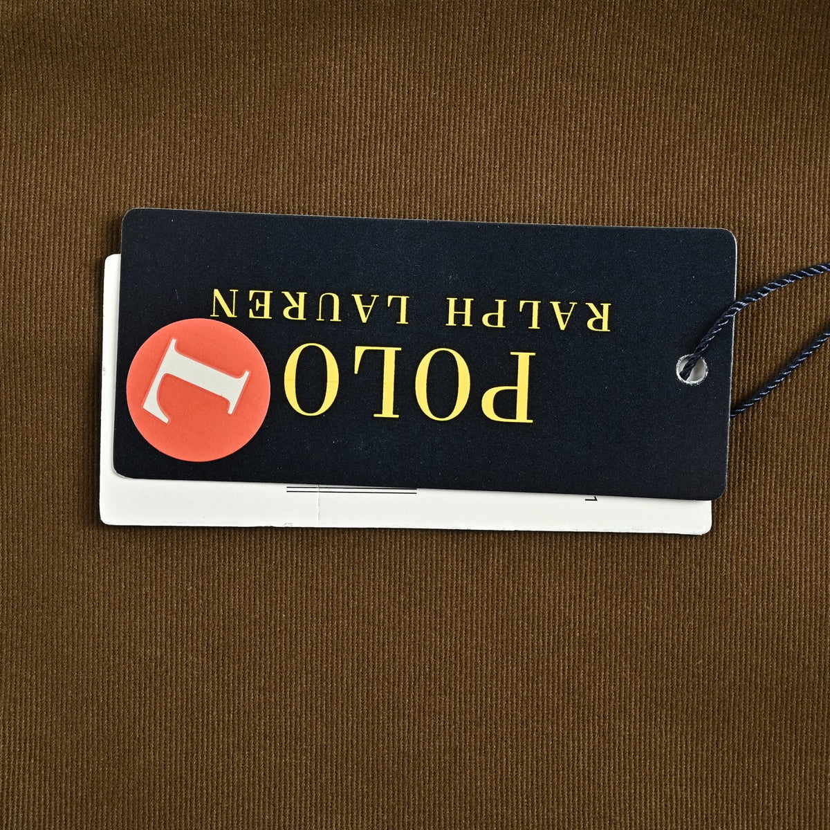 Twill Bi-Swing Windbreaker Olive Brown