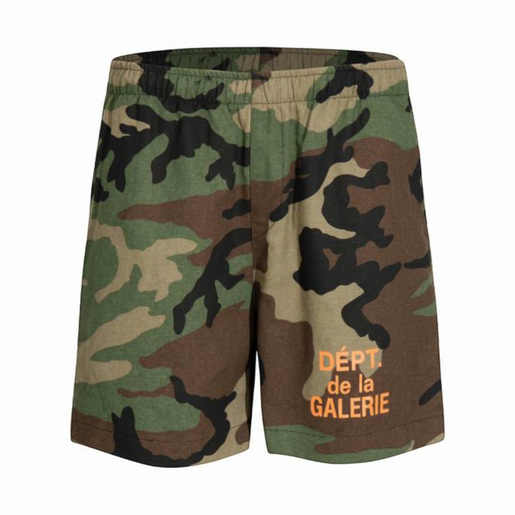 Camouflage Logo Shorts