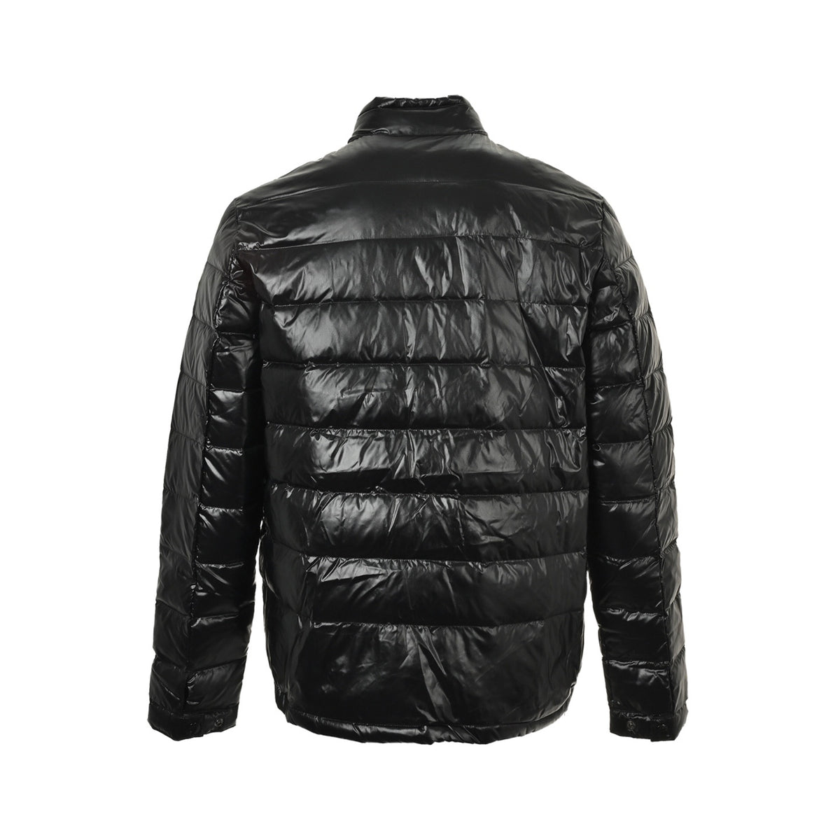 Acorus Black