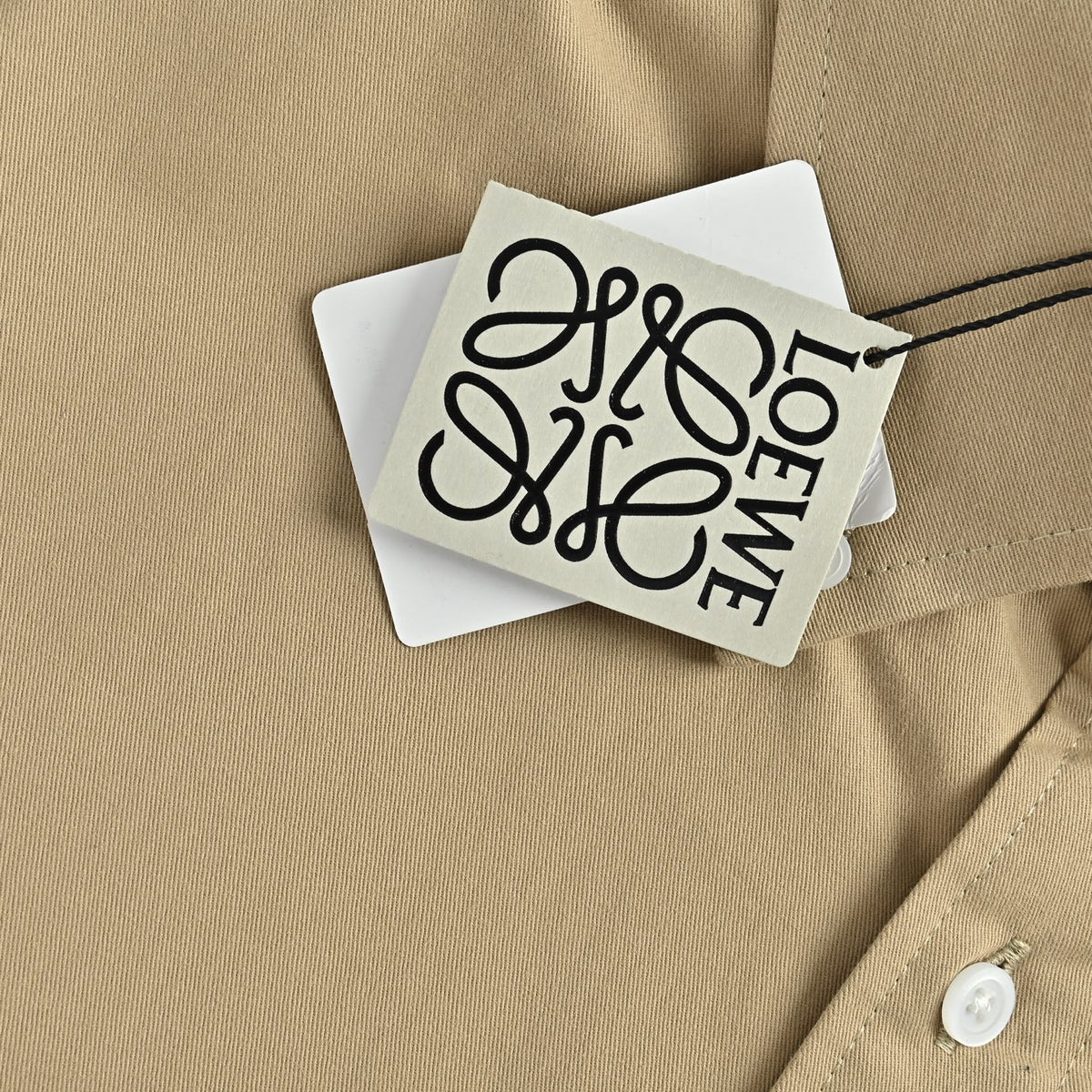 Brushed Cotton-Twill Beige