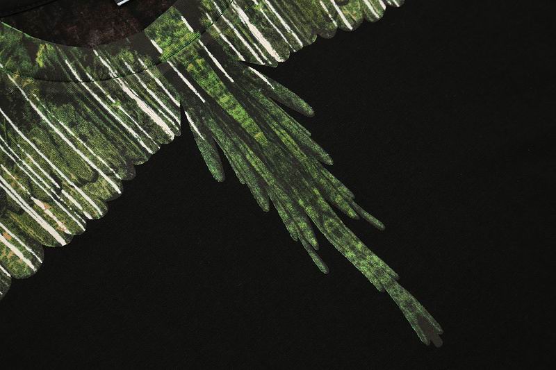 Wood Wings Graphic