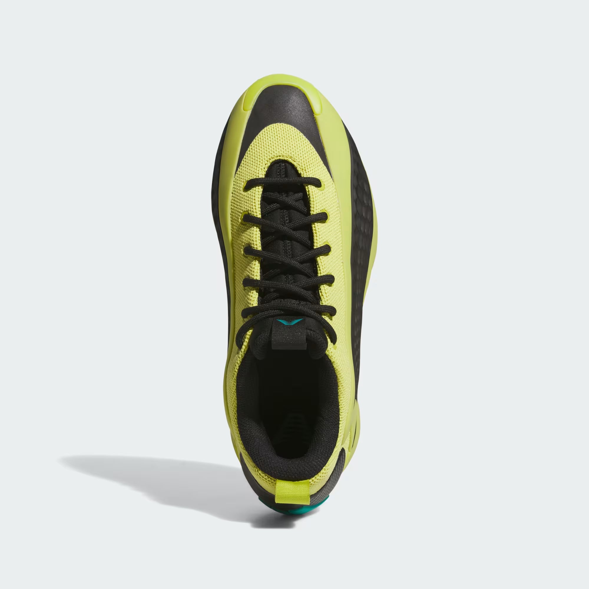 Anthony Edwards 1 Low Green