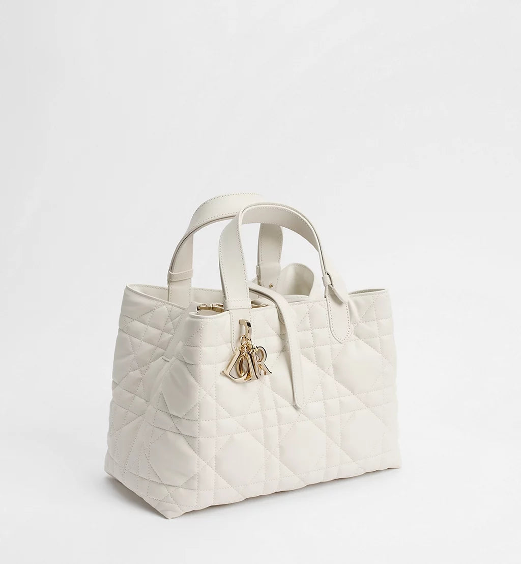 Dior Medium Dior Toujours Bag