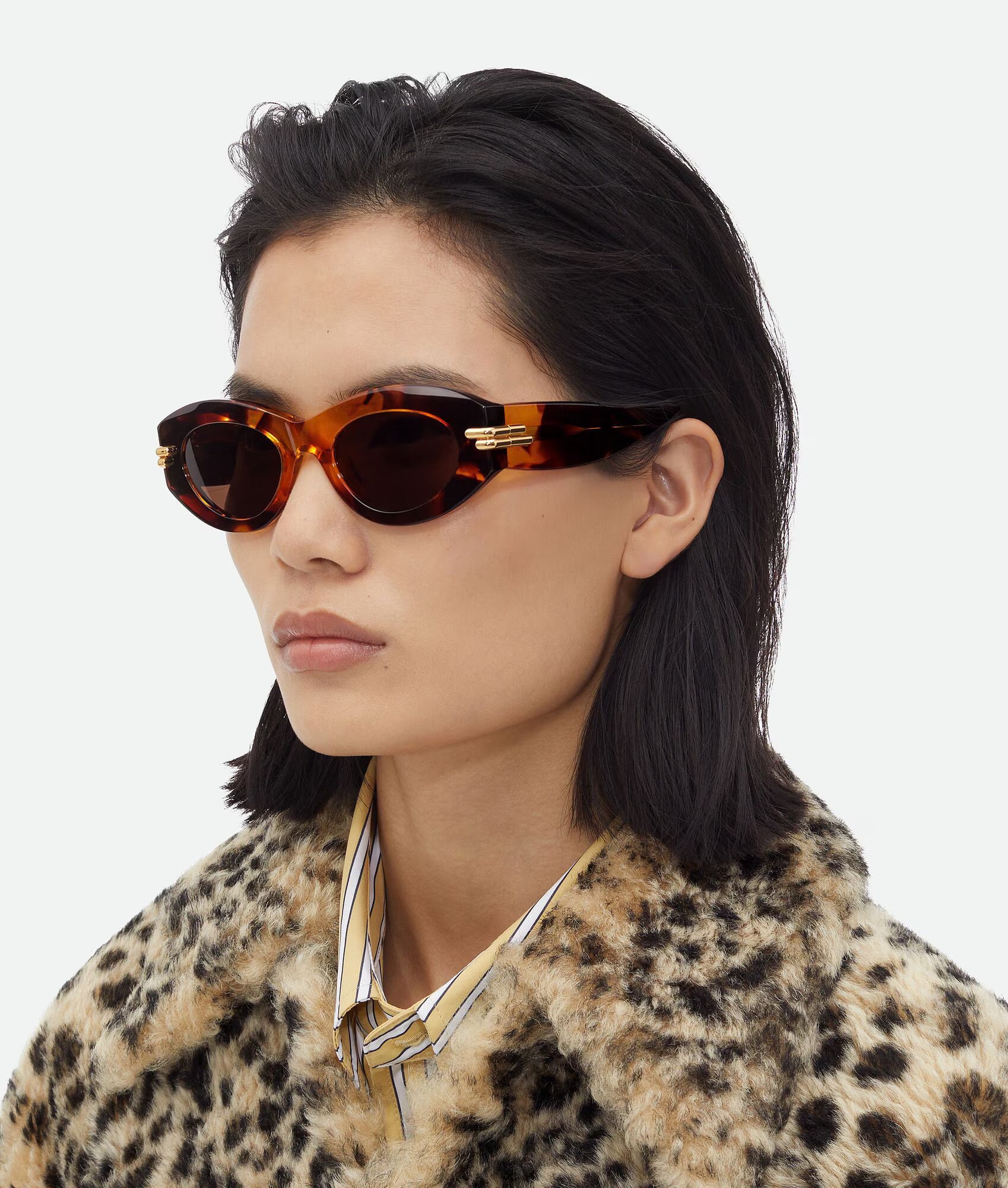 Mitre Oval Sunglasses Havana Brown