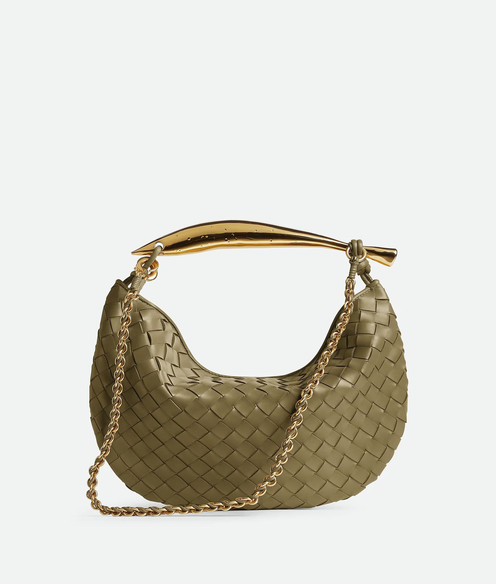 Sardine Chain Algae