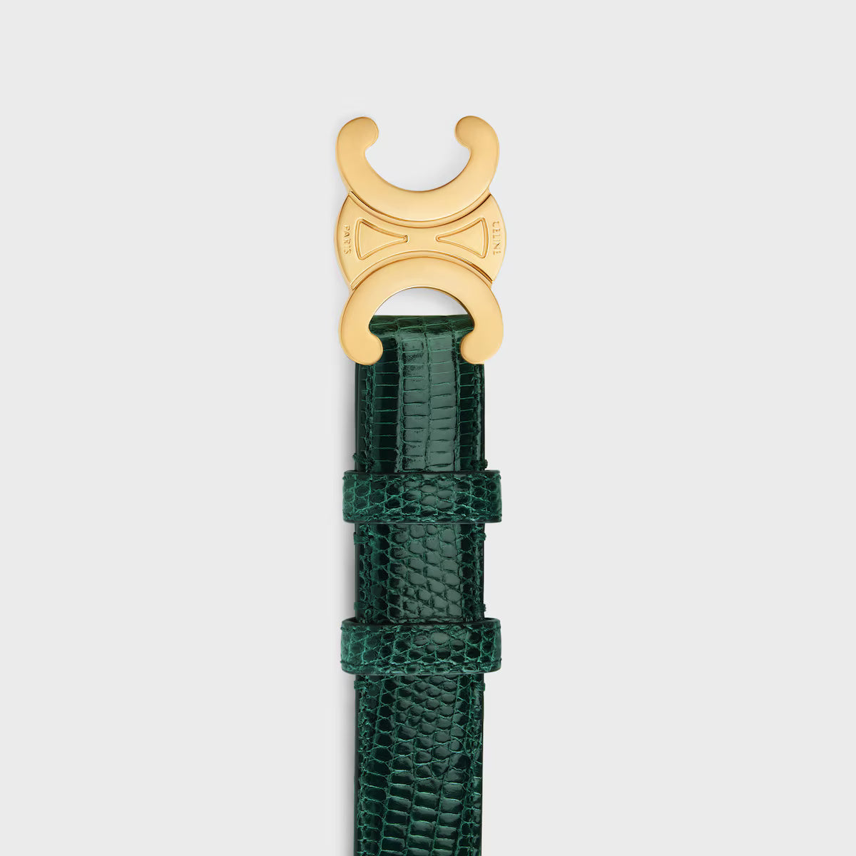 Triomphe Belt 25 mm Lizard