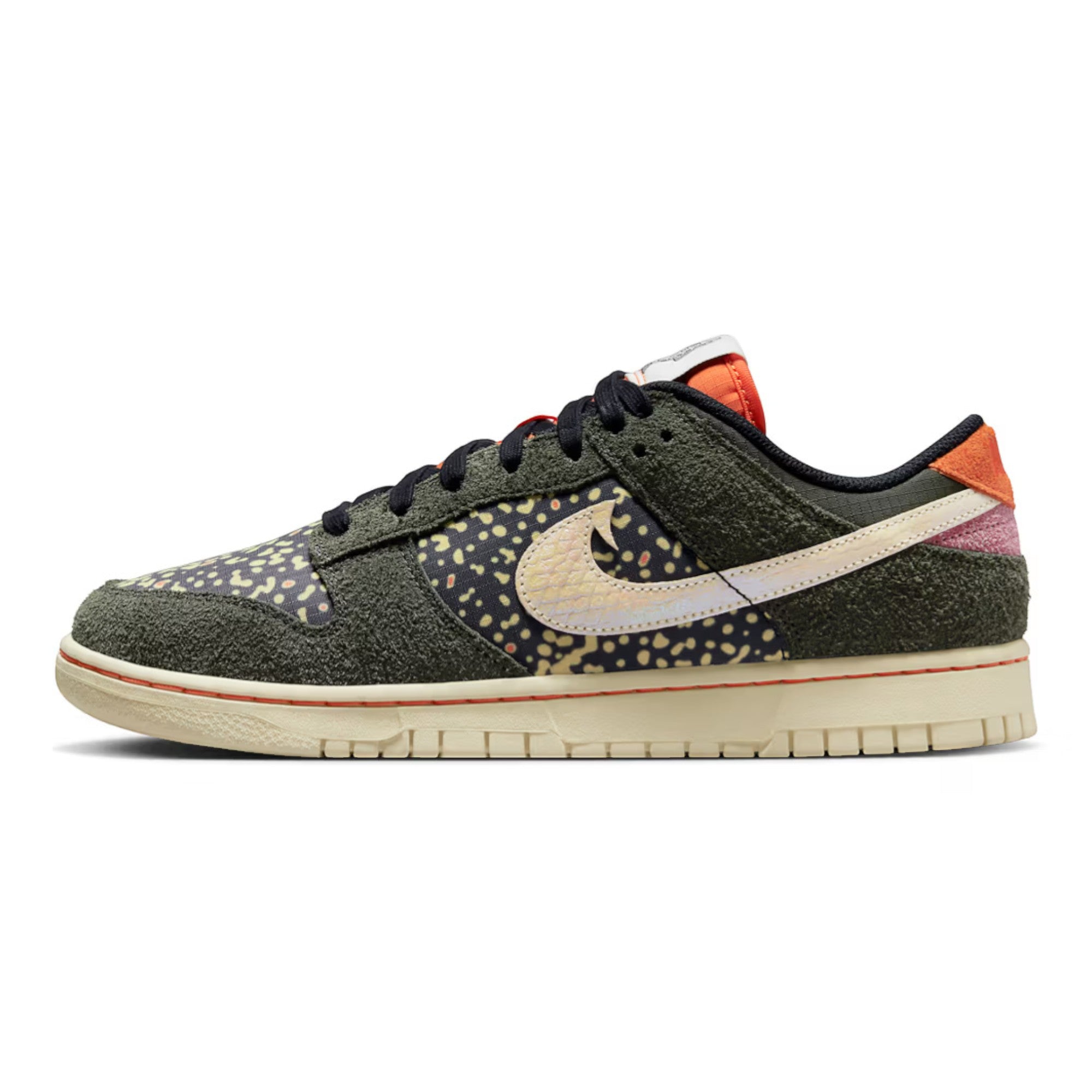 Nike Dunk Low Rainbow Trout