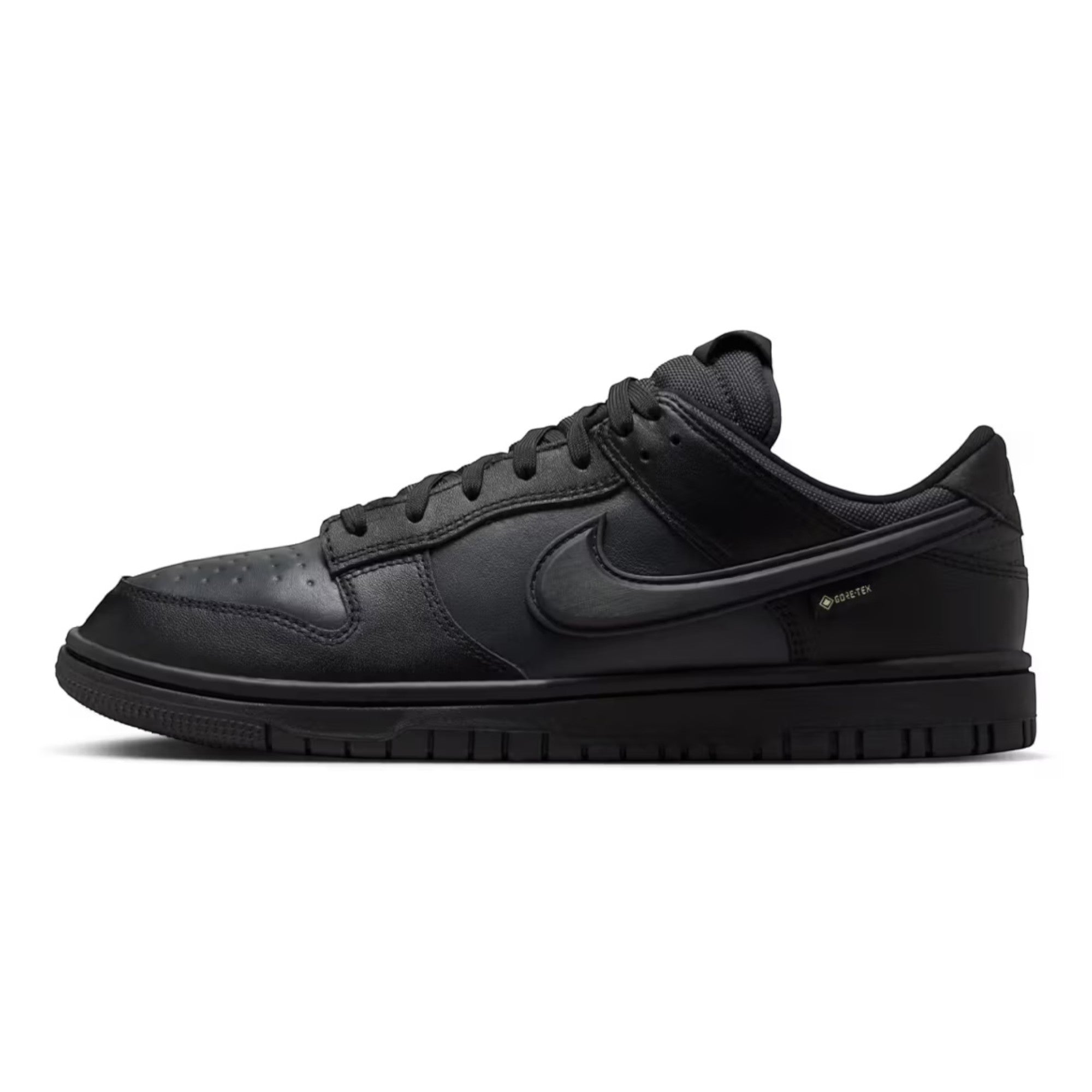 Nike Dunk Low GTX Black