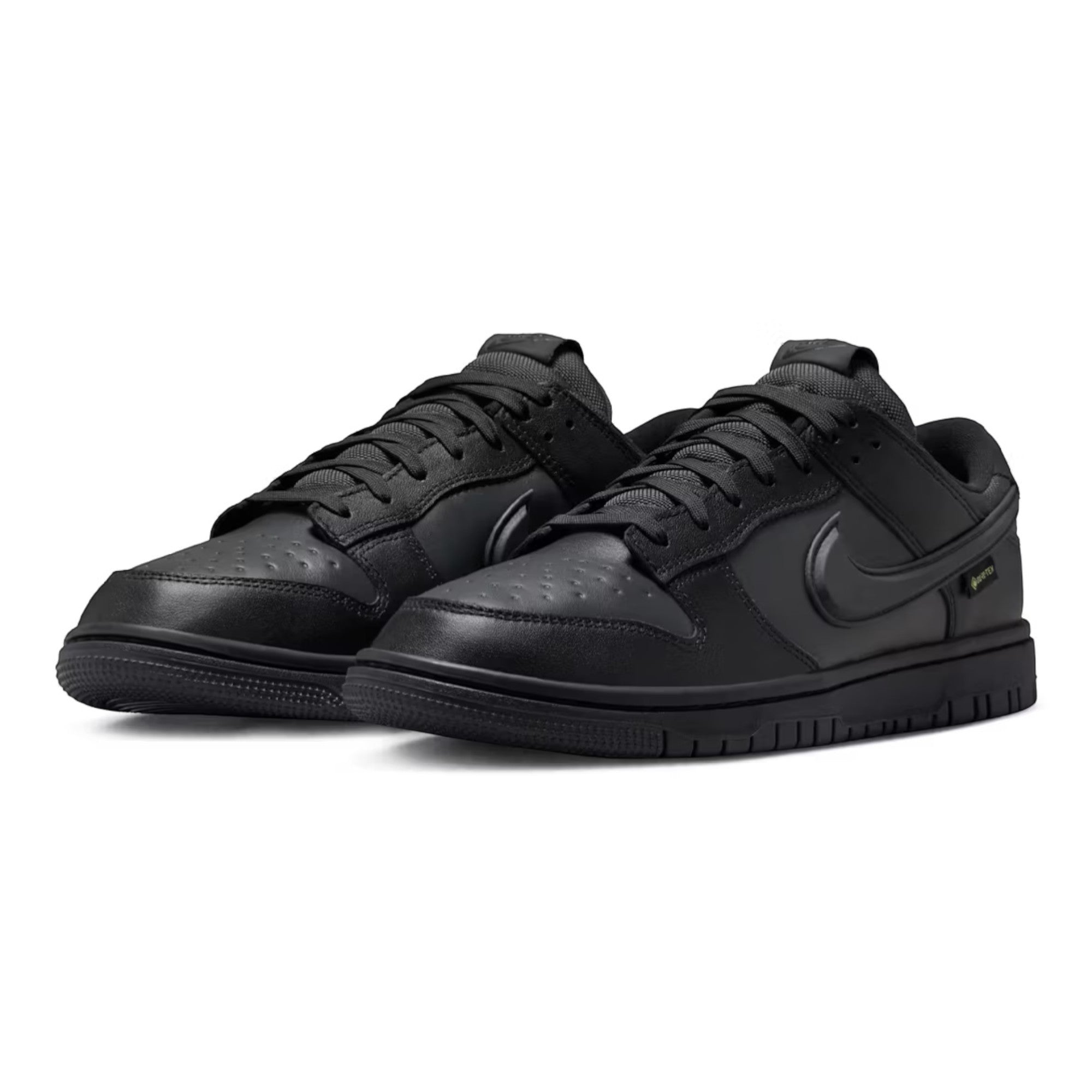 Nike Dunk Low GTX Black