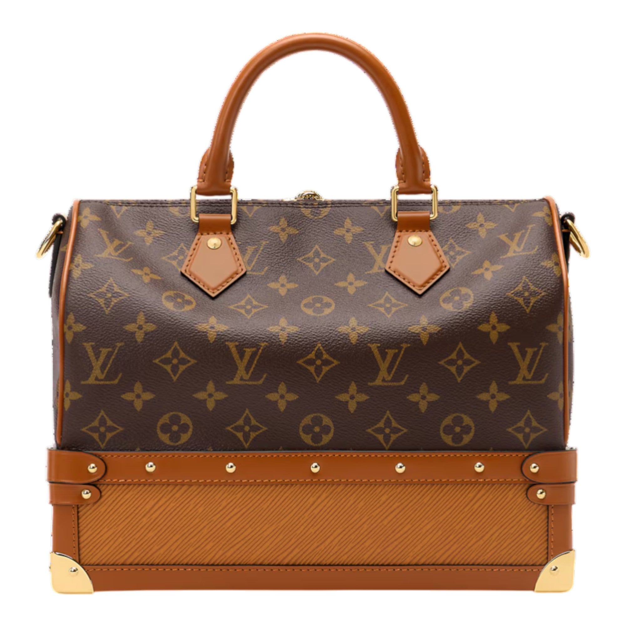 Speedy 30 Monogram Canvas