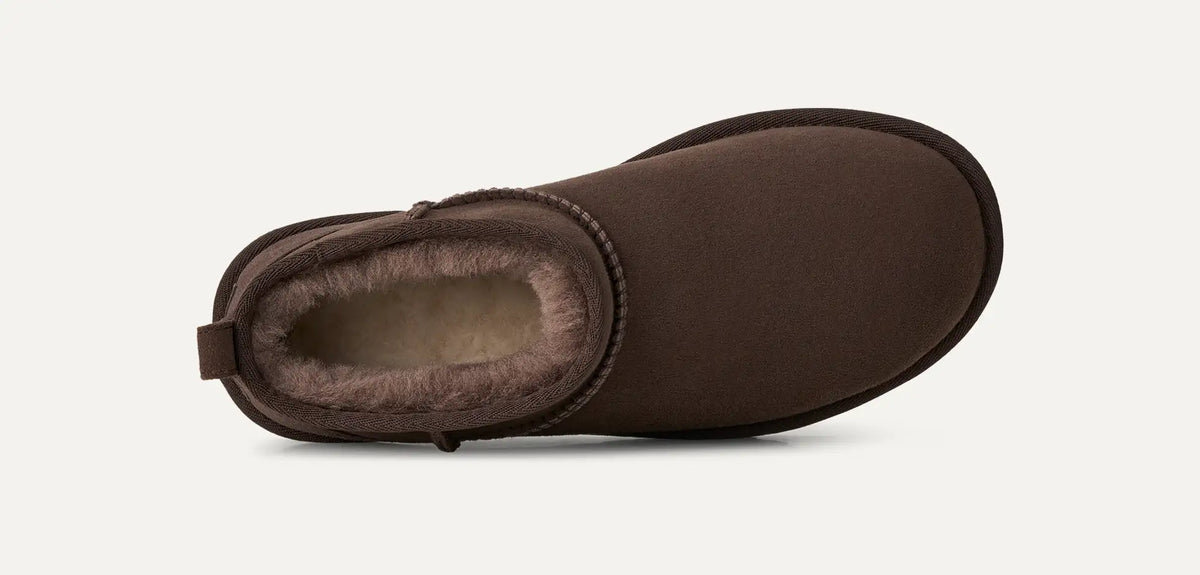 Classic Ultra Mini Dusted Cocoa