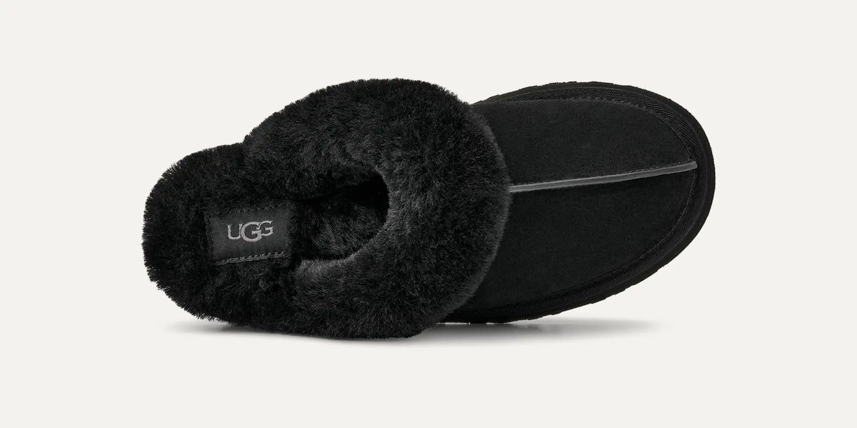 Disquette Black