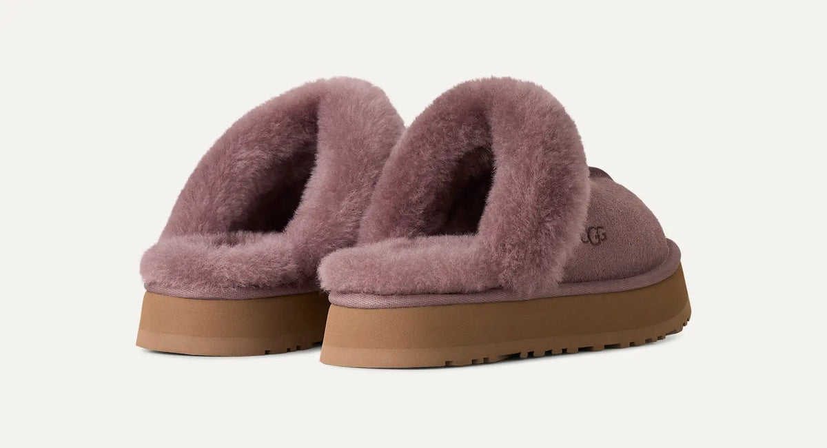 Disquette Mauve