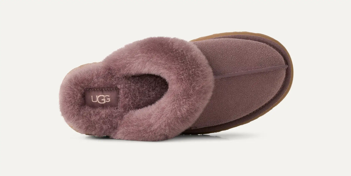 Disquette Mauve
