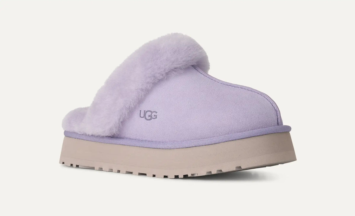 Disquette Lilac