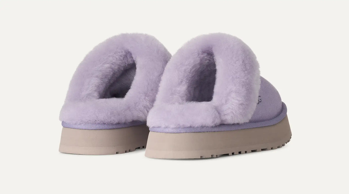 Disquette Lilac