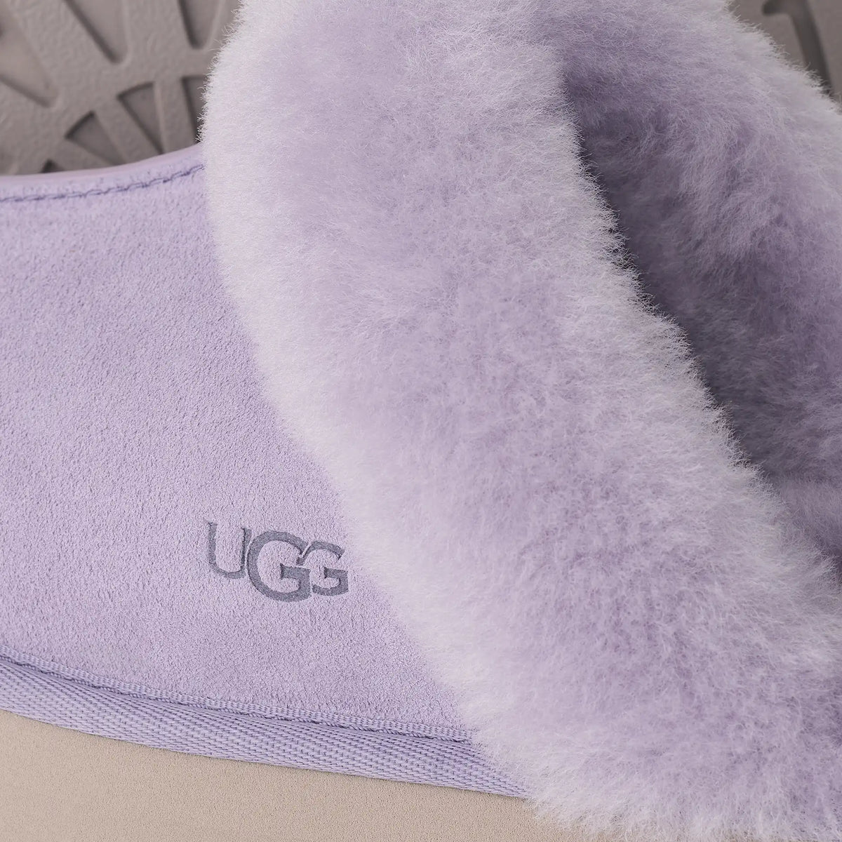 Disquette Lilac