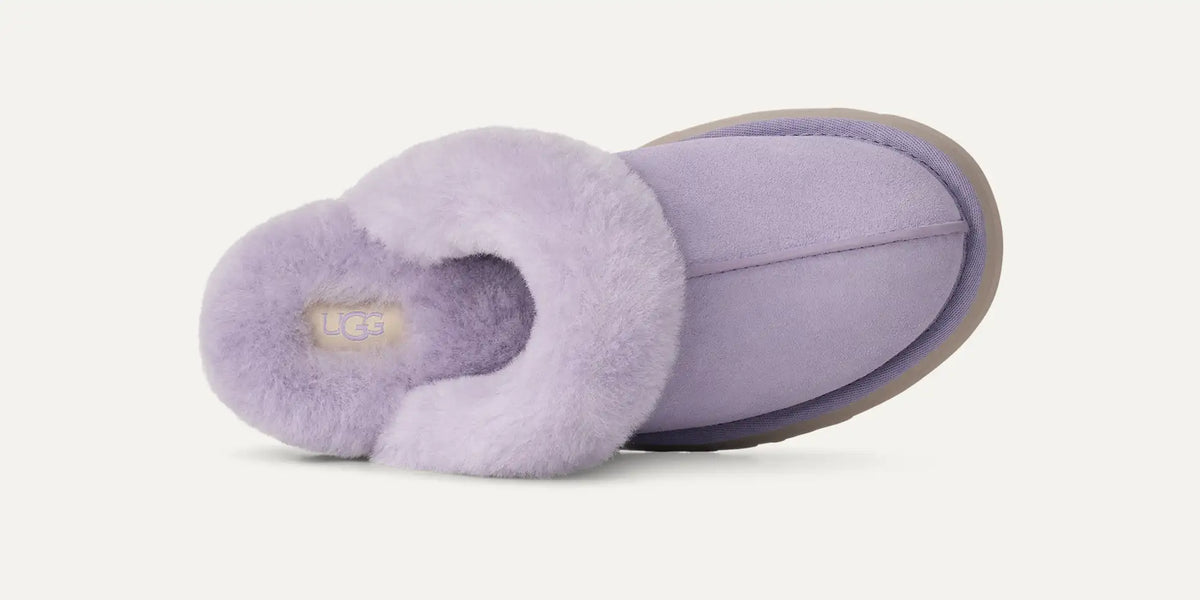 Disquette Lilac