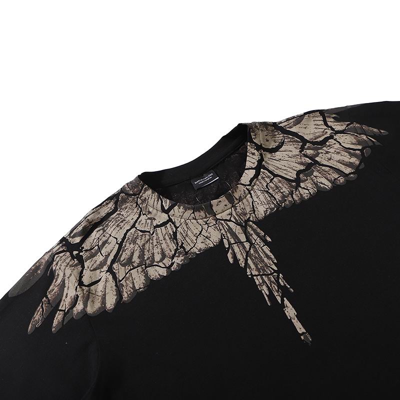 Icon Wings Cracked Graphic