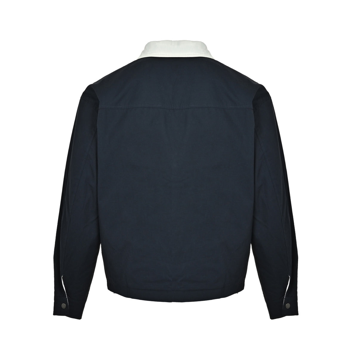 Cassandre Reversible Brushed Cotton Canvas