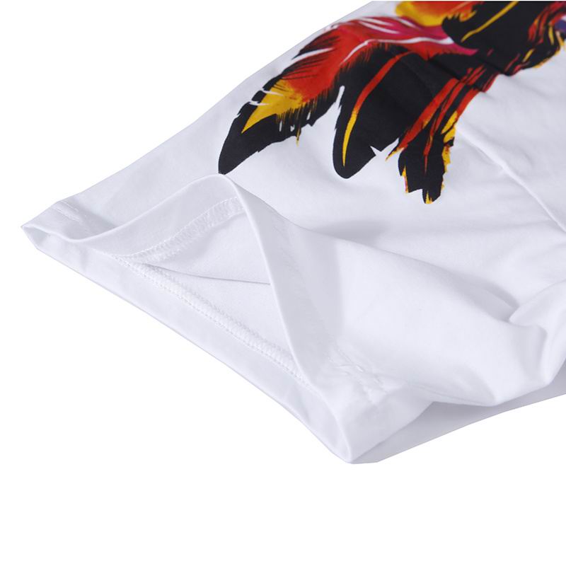 Icon Wings Multicolor Graphic