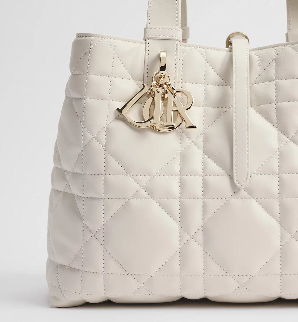 Dior Medium Dior Toujours Bag