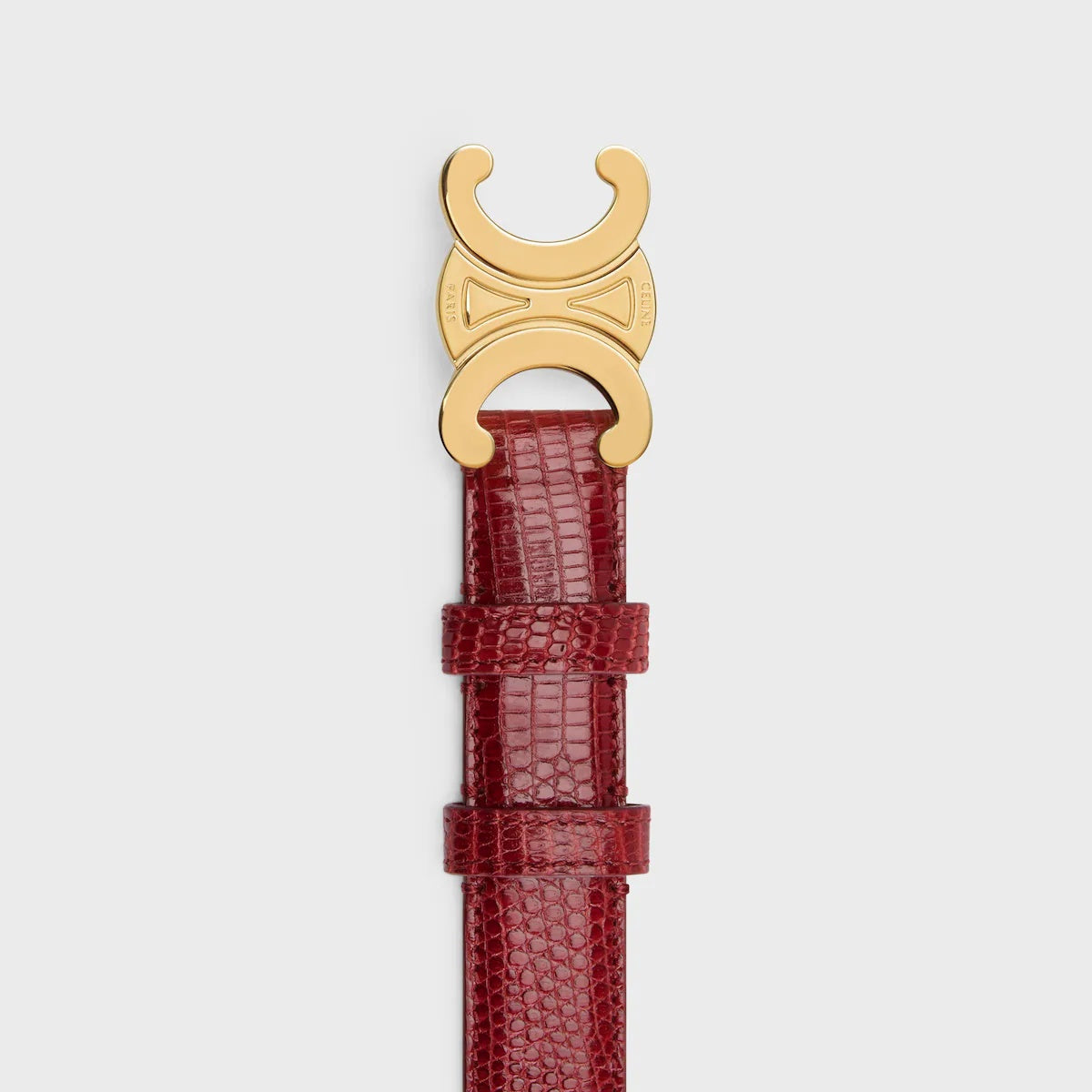 Triomphe Belt 25 mm Lizard