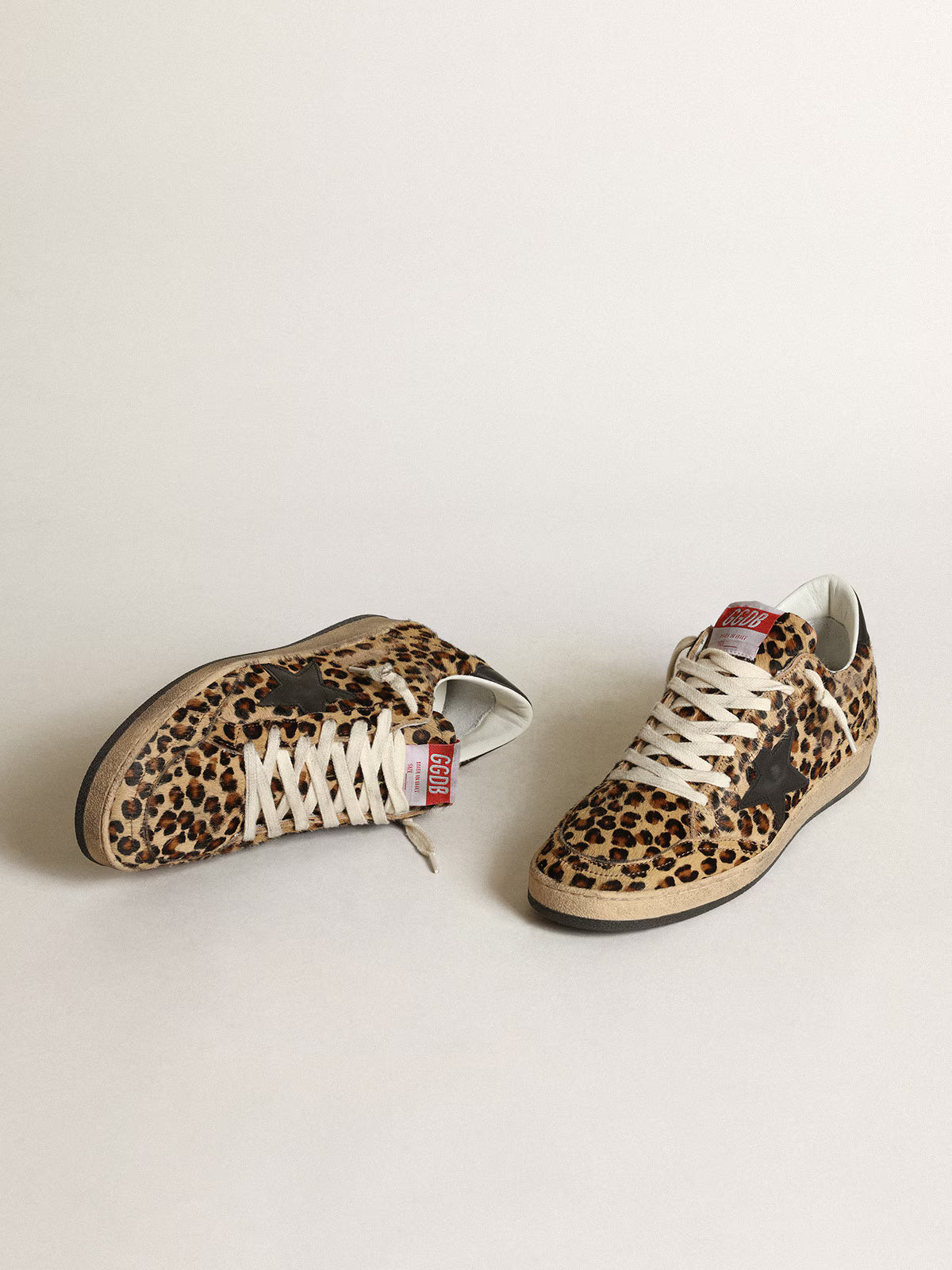 Ball Star Sneakers Leo Print / Black
