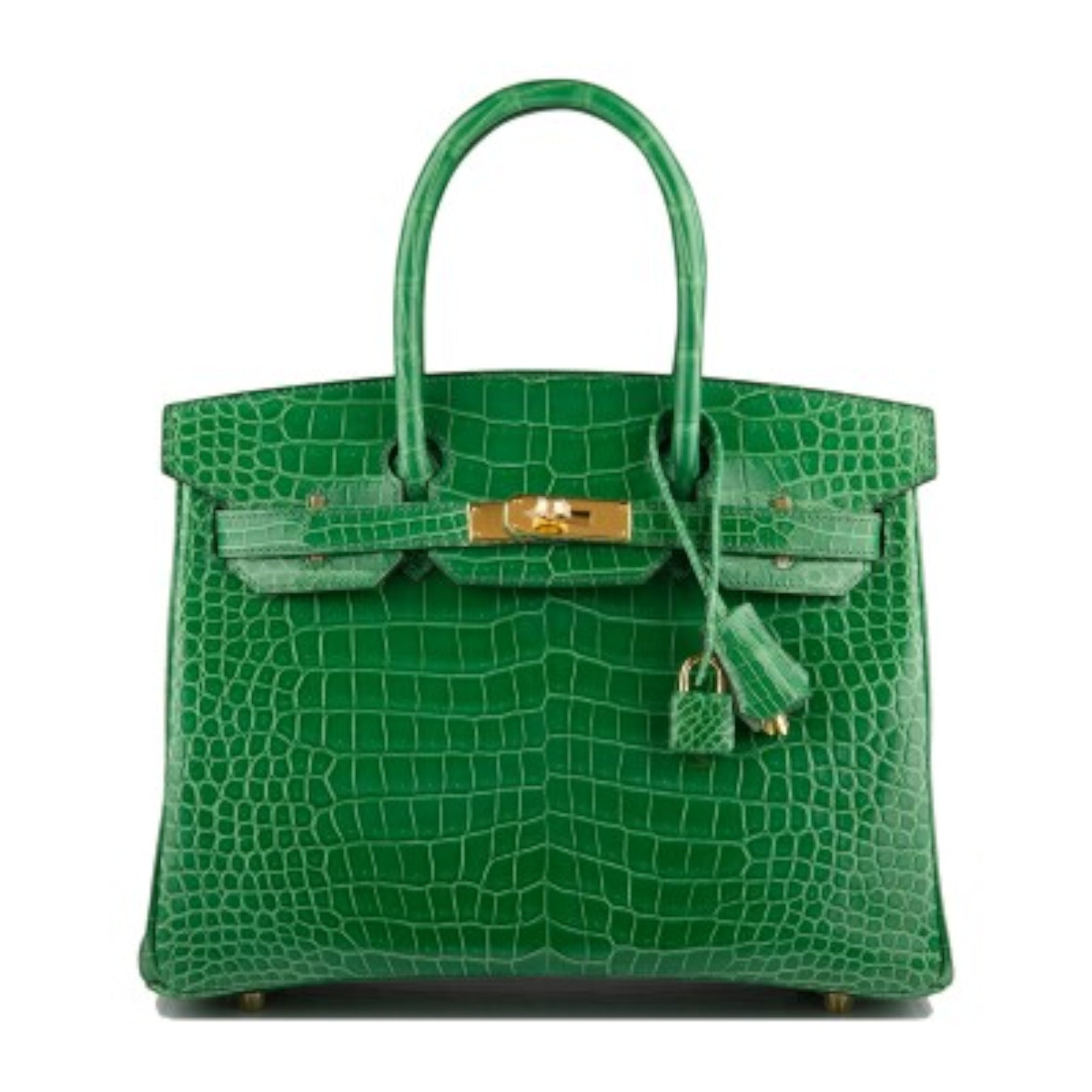 Cactus Shiny Porosus Crocodile Gold Hardware