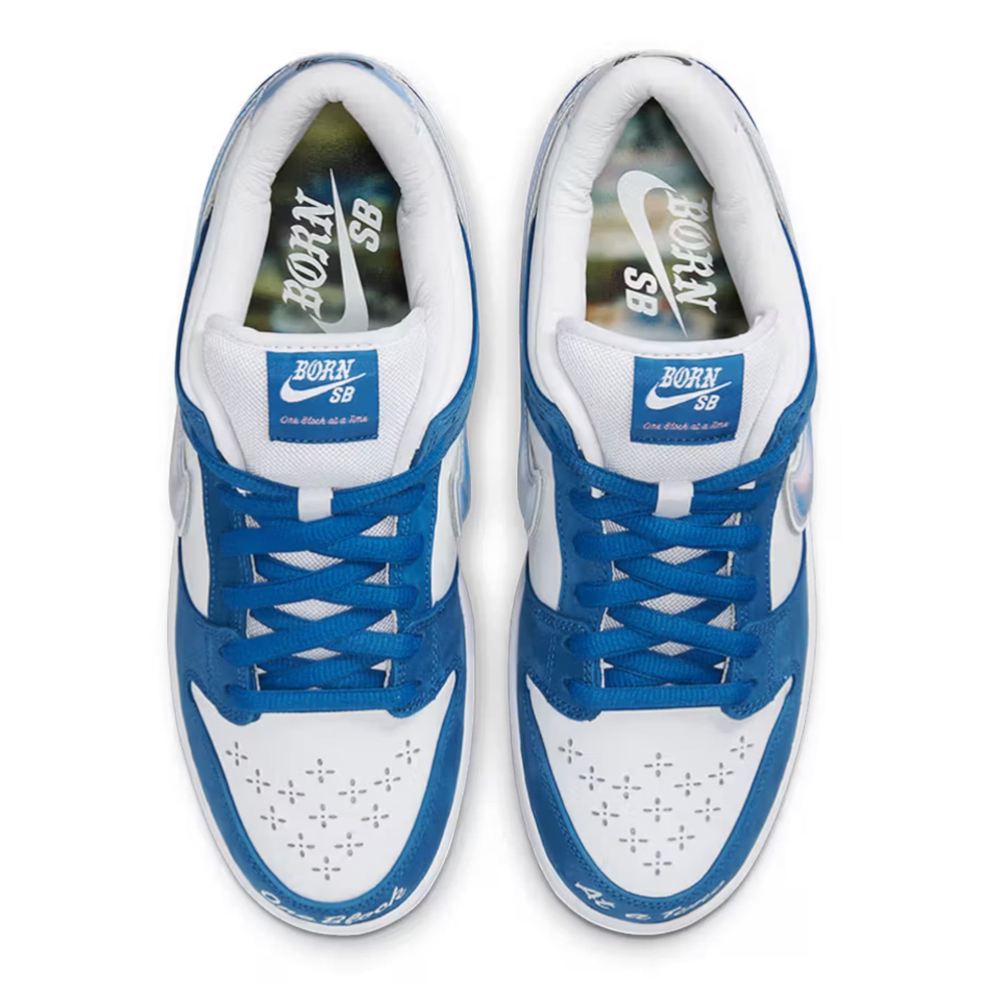 Nike Dunk Low Born x Raised