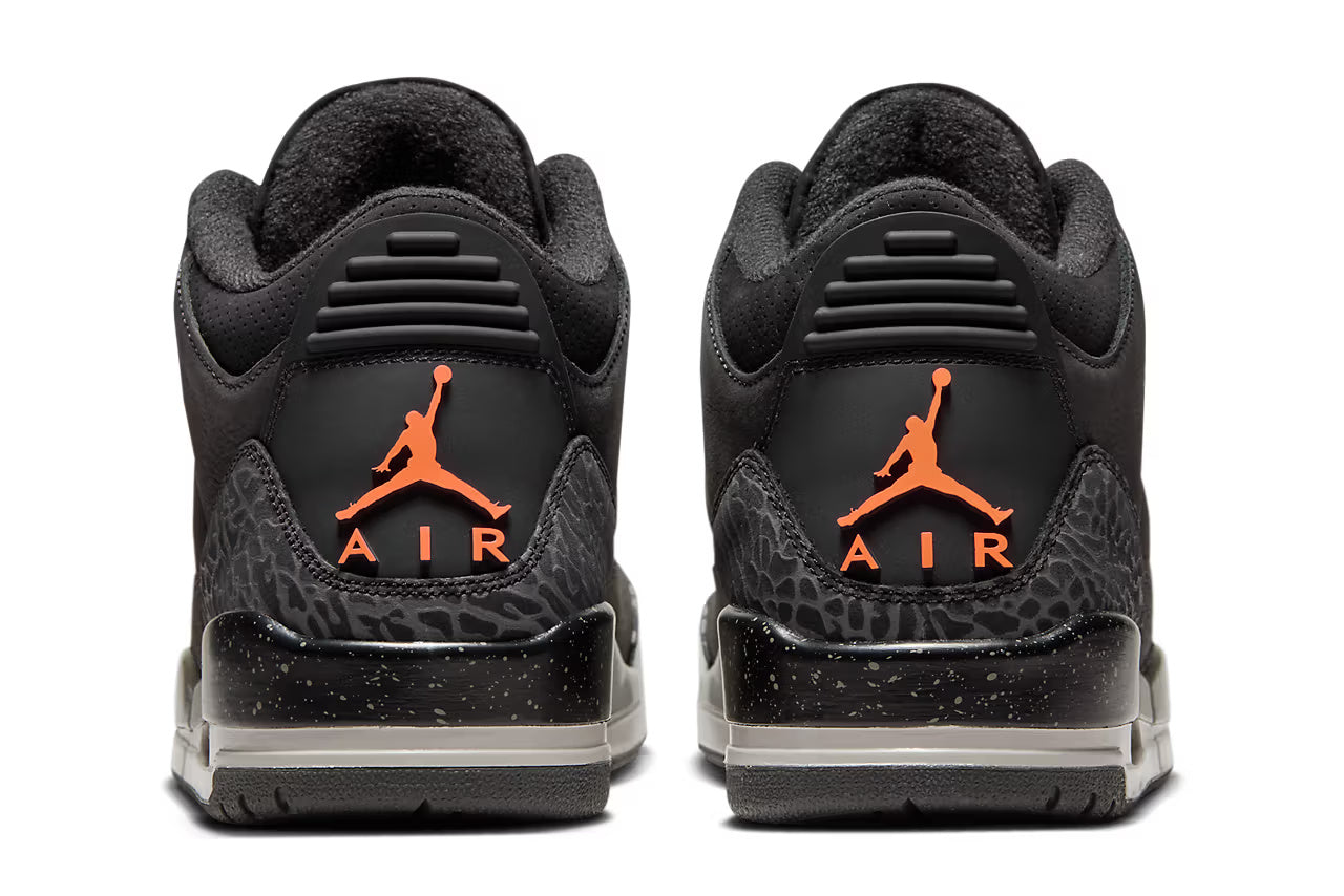 Air Jordan 3 Fear