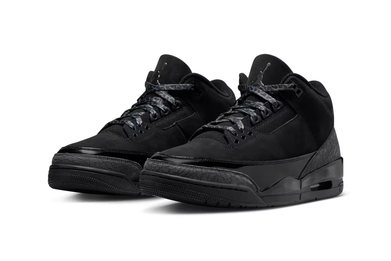 Air Jordan 3 Black Cat
