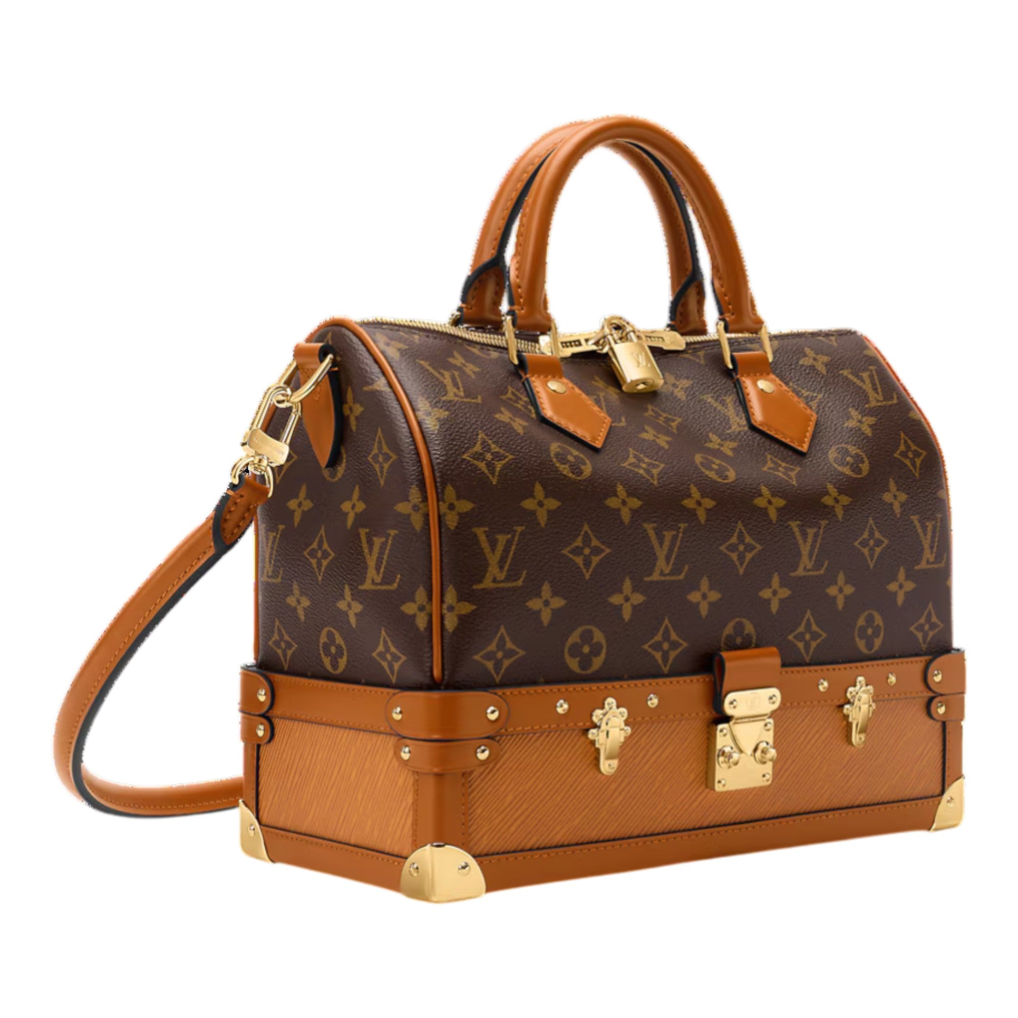 Speedy 30 Monogram Canvas
